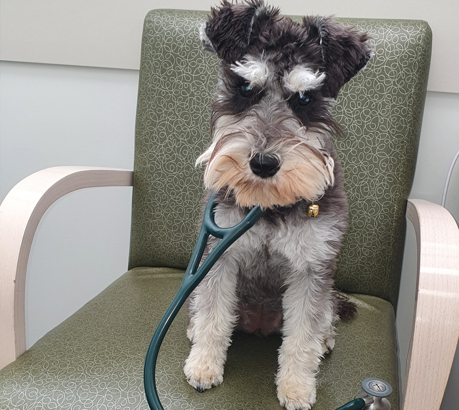 <b>Dr Echo</b><br>Waimate Medical Centre
