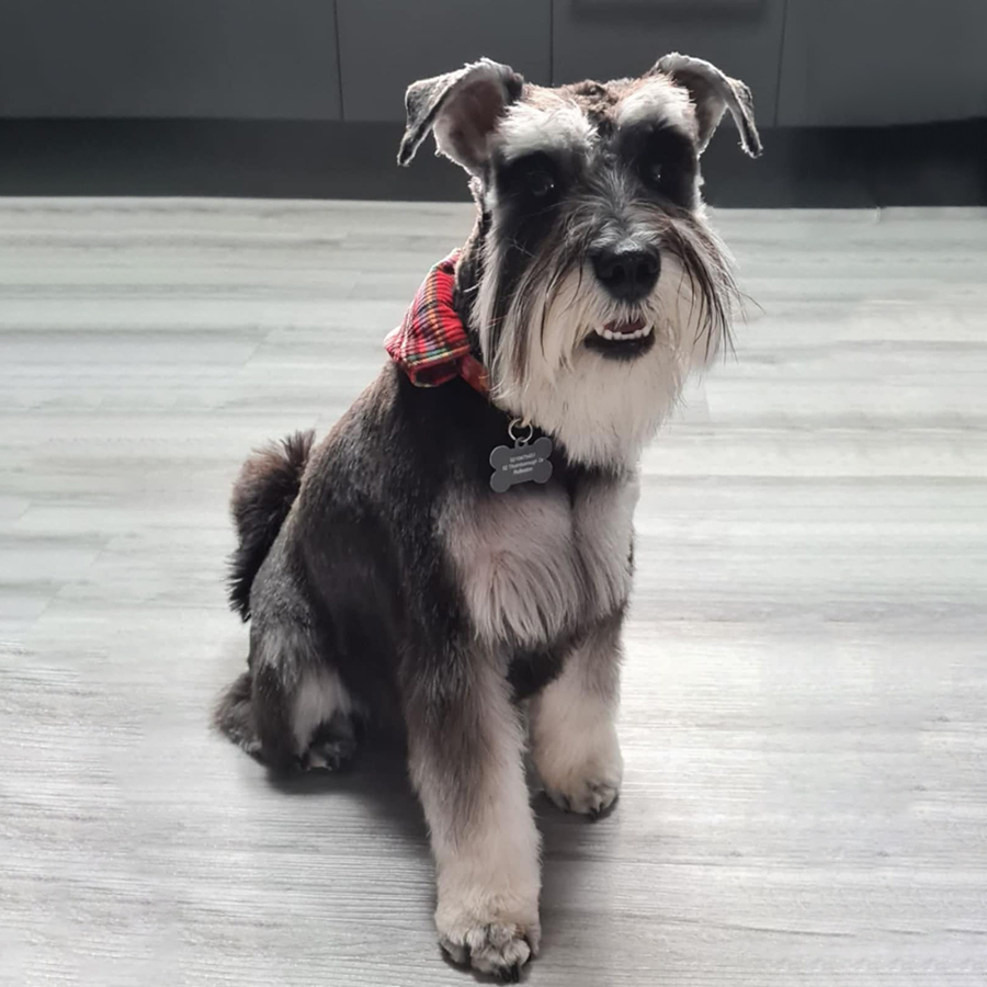 <b>Pepper</b><br>The Venter Family